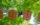 A person at Treetop Quest looks down from a wooden platform in the trees