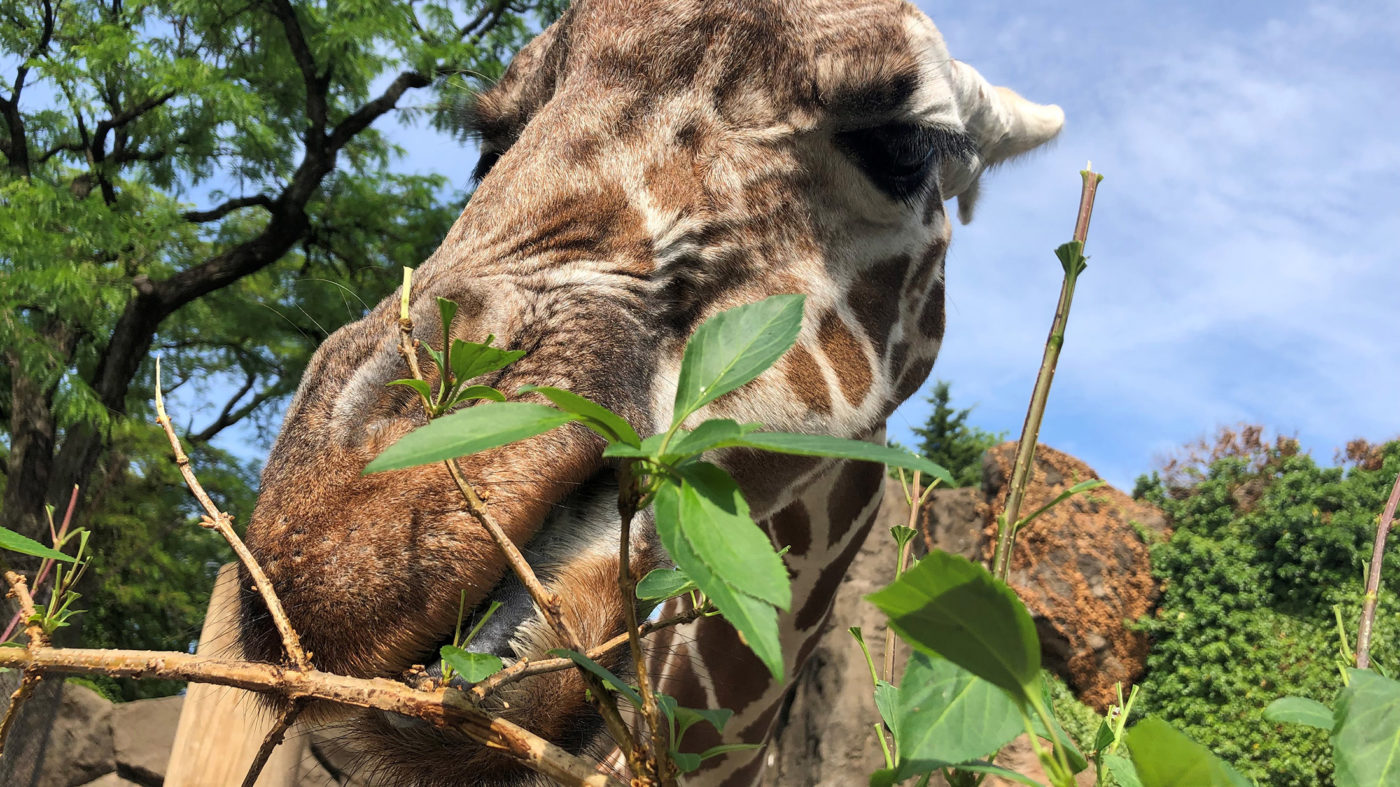 Shhhhh 16 Museum Secrets in Philadelphia Visit Philadelphia