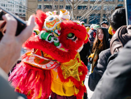 A traditional lion dance during a Lunar New Year celebration at The Rail Park