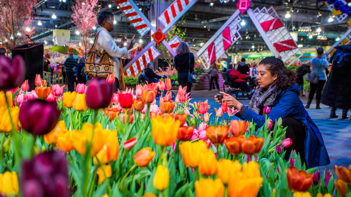 2023 Philadelphia Flower Show What to Expect Visit Philadelphia