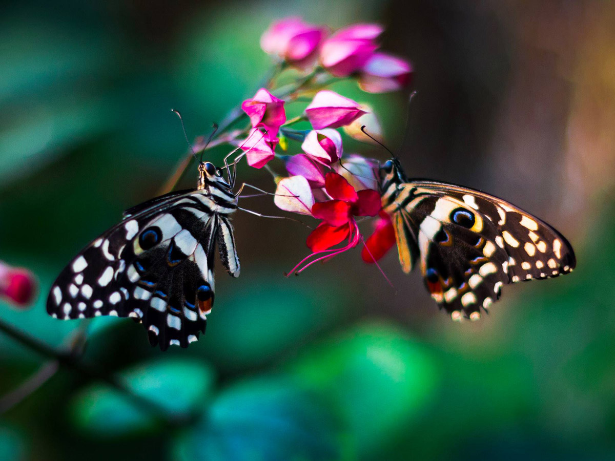 Philly's Hidden Gems: 21 Places You (Probably) Didn't Know About ...