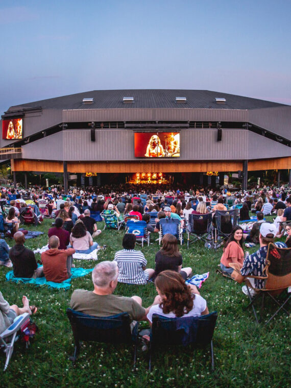 A crowd on the lawn at The Mann Center in Philadelphia takes in a concert