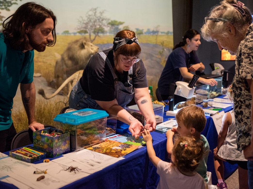 Young children handle insects while staff members look on at Bug Fest at The Academy of Natural Sciences of Drexel University.
