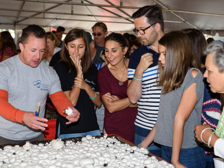 2023 Square Mushroom Festival What to Expect Visit Philadelphia