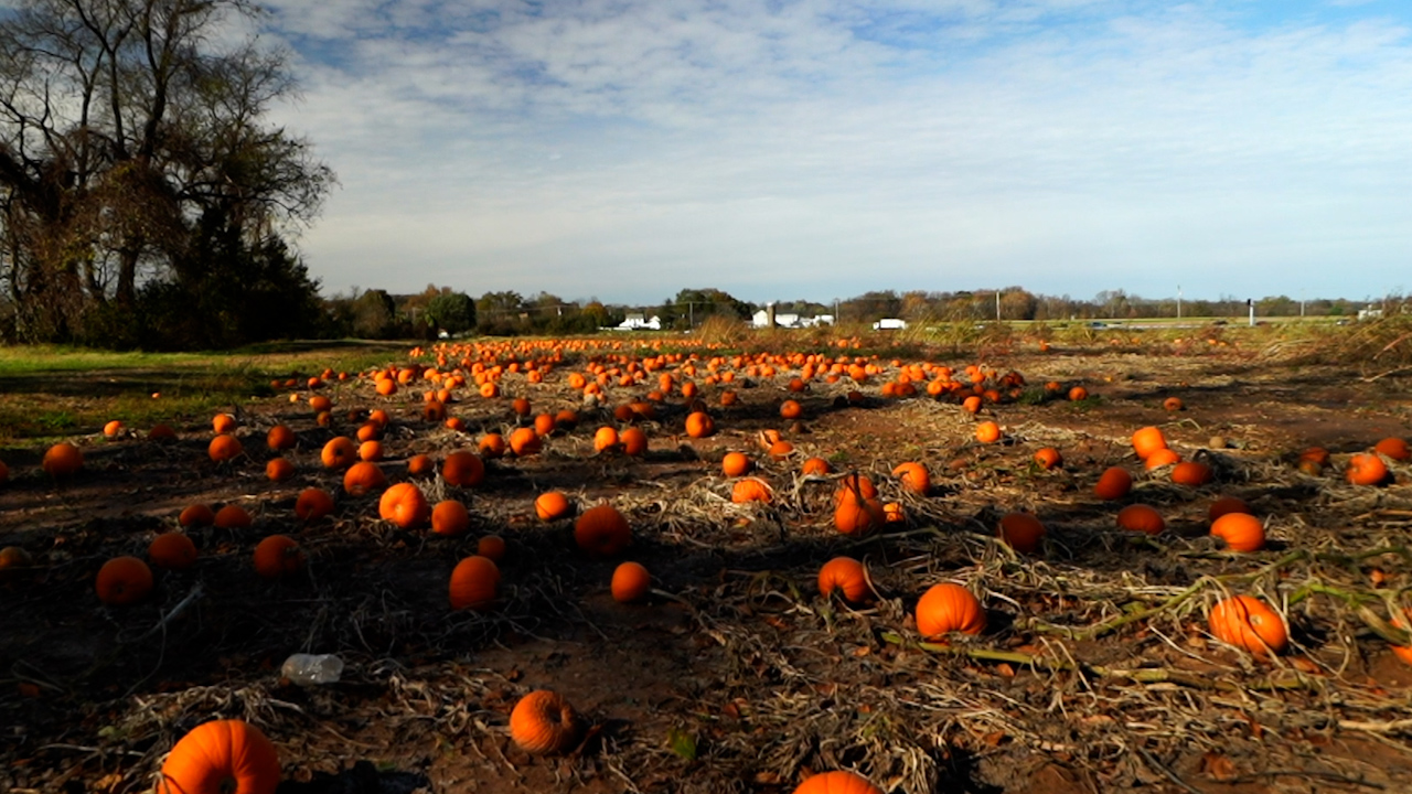 The Best Things to Do in Philadelphia Visit Philadelphia