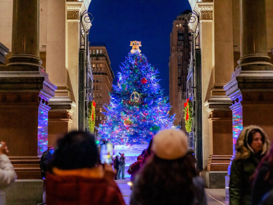 Children stand in the foreground while the VIsit Philadelphia Holiday Tree glows in the background