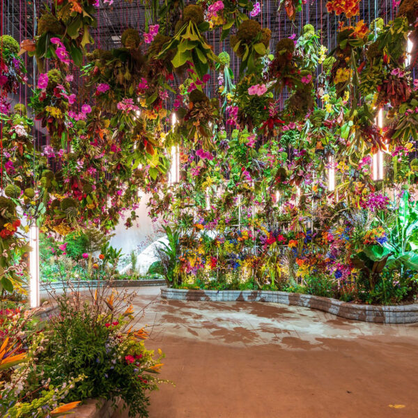 A winding path through a display of lights and flowers hanging from the ceiling at the 2023 PHS Philadelphia Flower Show.