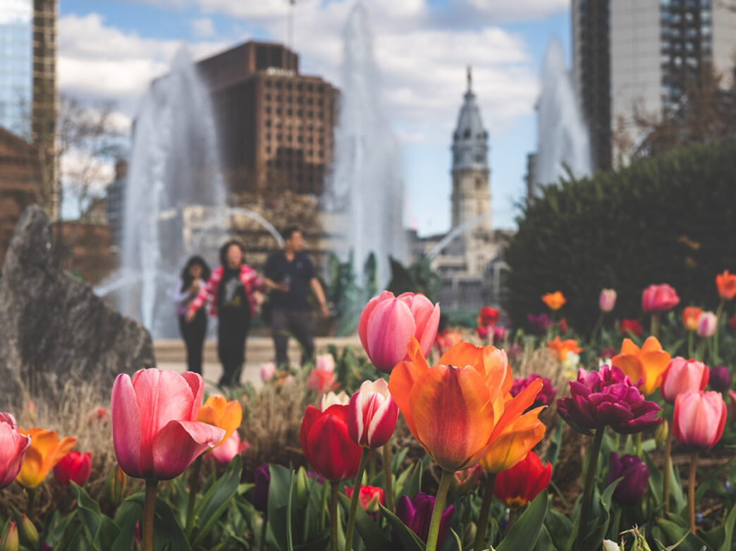 Pink and red tulips bloom in Logan Square with spraying decorative fountain.