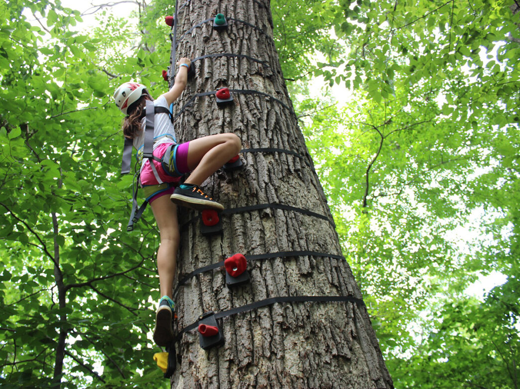 A girl wearing a climbing harness climbs a tree at Treehouse World Adventure Park.