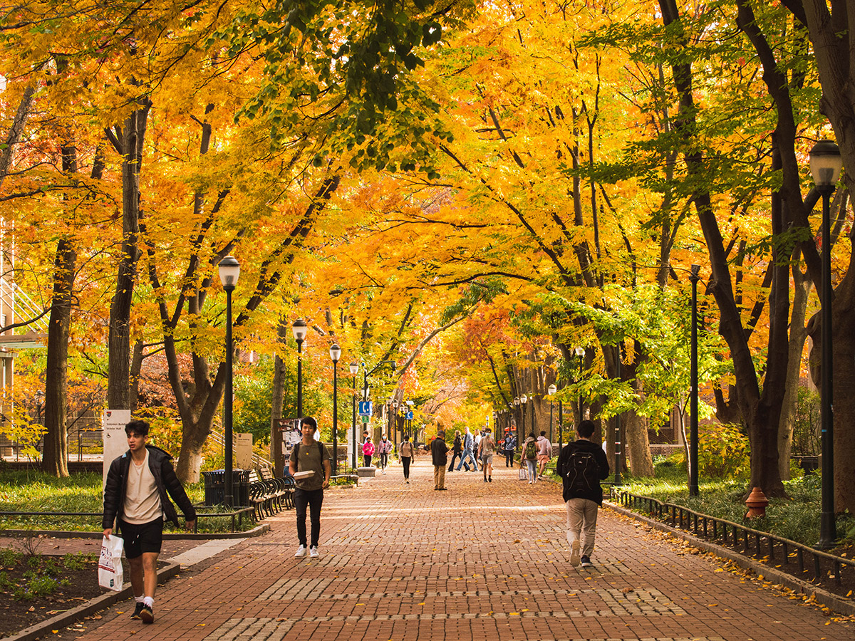 The Best Spots to View Fall Foliage in Greater Philadelphia Visit