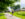 Man in shorts walks away from camera along a paved path lined with green trees and historic cabins at Valley Forge National Historical Park.