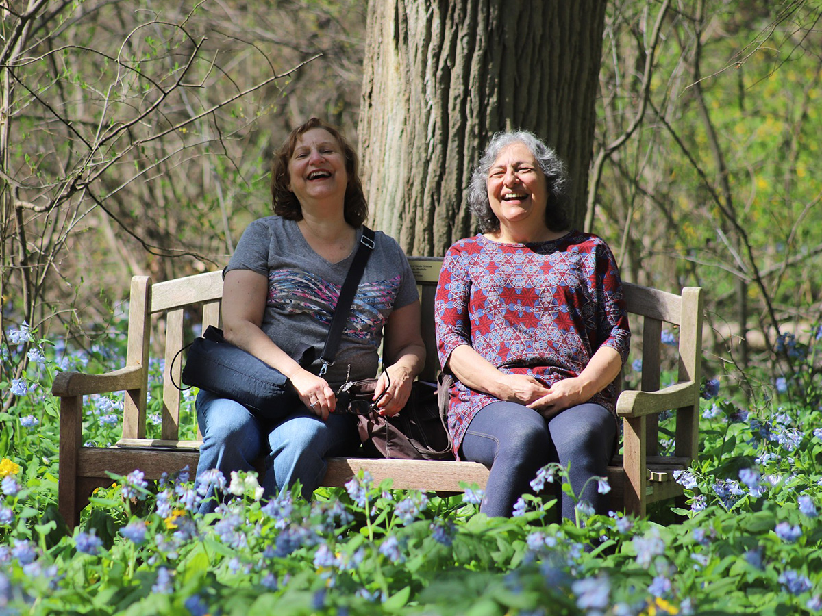 Two people sit on a park bench surrounded by wildflowers at Bowman's Hill Wildflower Preserve.