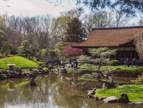 An image of a house, pond and garden at the Shofuso Japanese Cultural Center in early spring.