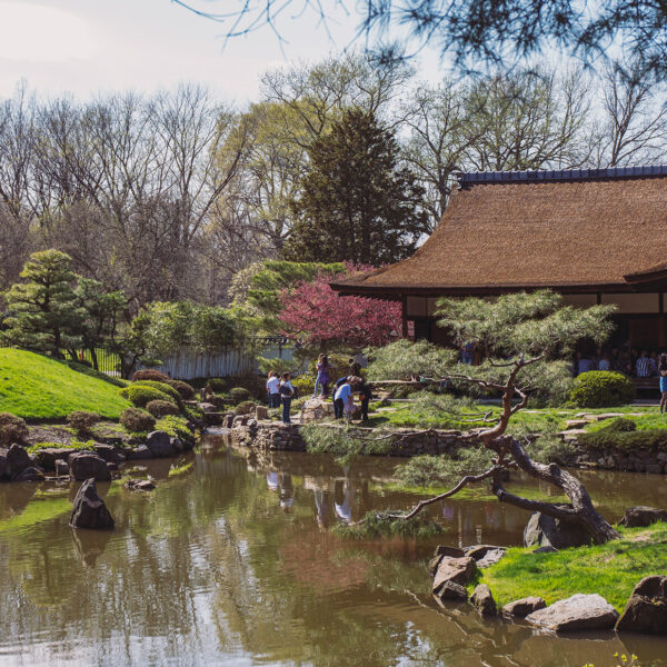 An image of a house, pond and garden at the Shofuso Japanese Cultural Center in early spring.