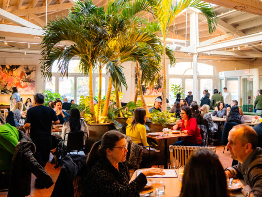 The dining room at Kalaya full with people dining. Palm trees as tall as the ceiling are in the center of the dining room.