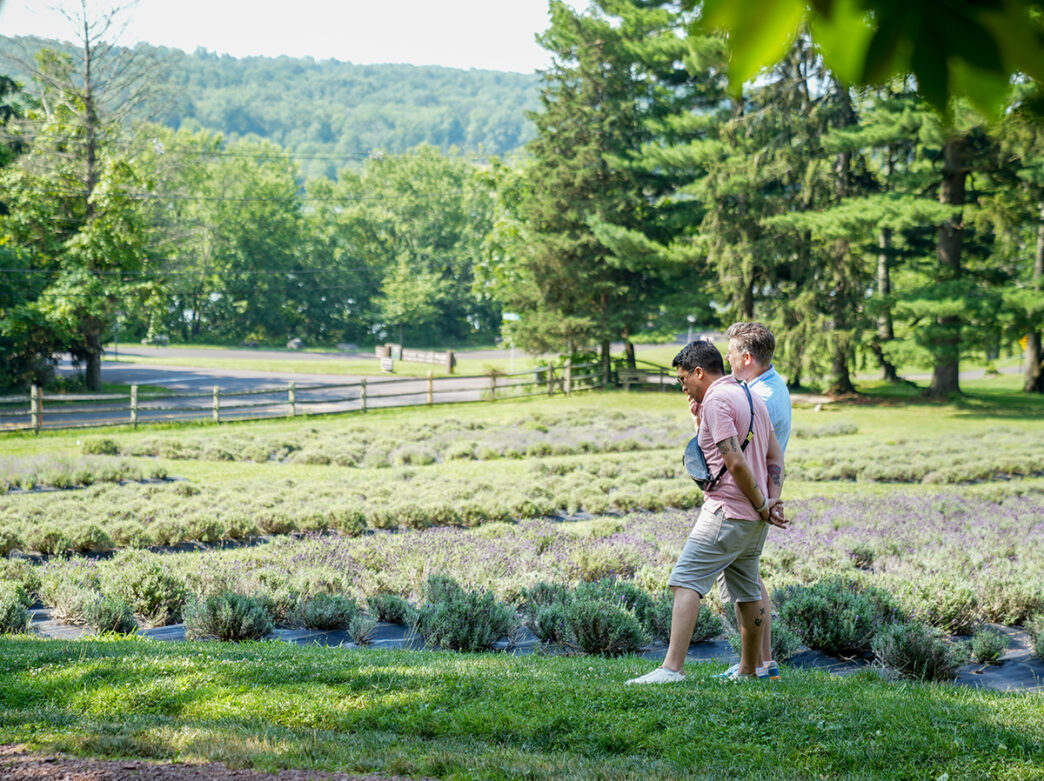 Two people stand in the lavender field at Peace Valley Lavender Farm in Bucks County, PA.