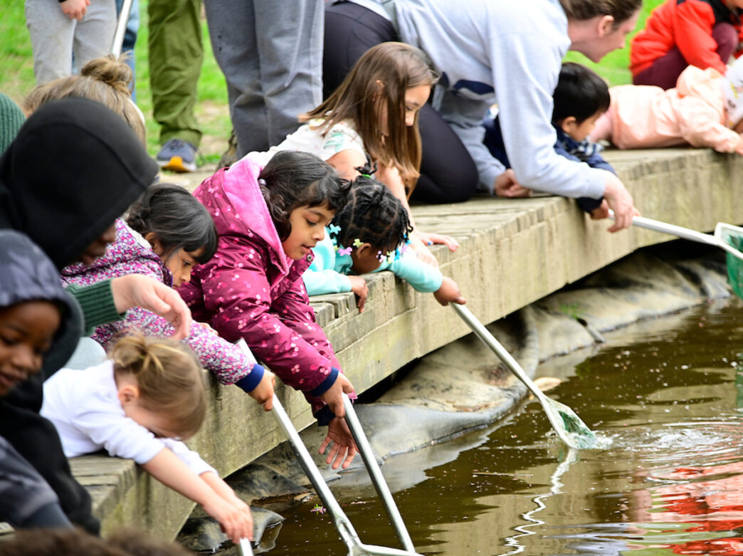 Kids use nets to scoop things out of a pond at Schuylkill Center for Environmental Education.
