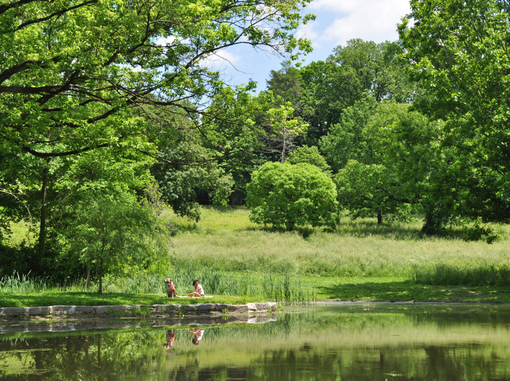 A person and a dog sit in the grass surrounded by a pond, green trees and bushes at Awbury Arboretum.