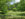 A person and a dog sit in the grass surrounded by a pond, green trees and bushes at Awbury Arboretum.