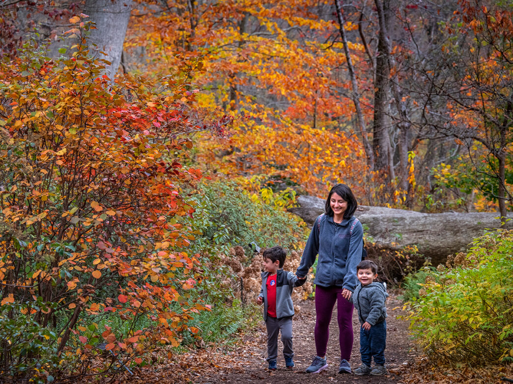 A mother holds the hands of two children as they walk along a dirt path at Tyler Arboretum in Philadelphia. Lining the path are bushes and trees that have red, orange and green leaves.