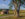 People walk and run along a paved trail through a meadow at Valley Forge National Park.