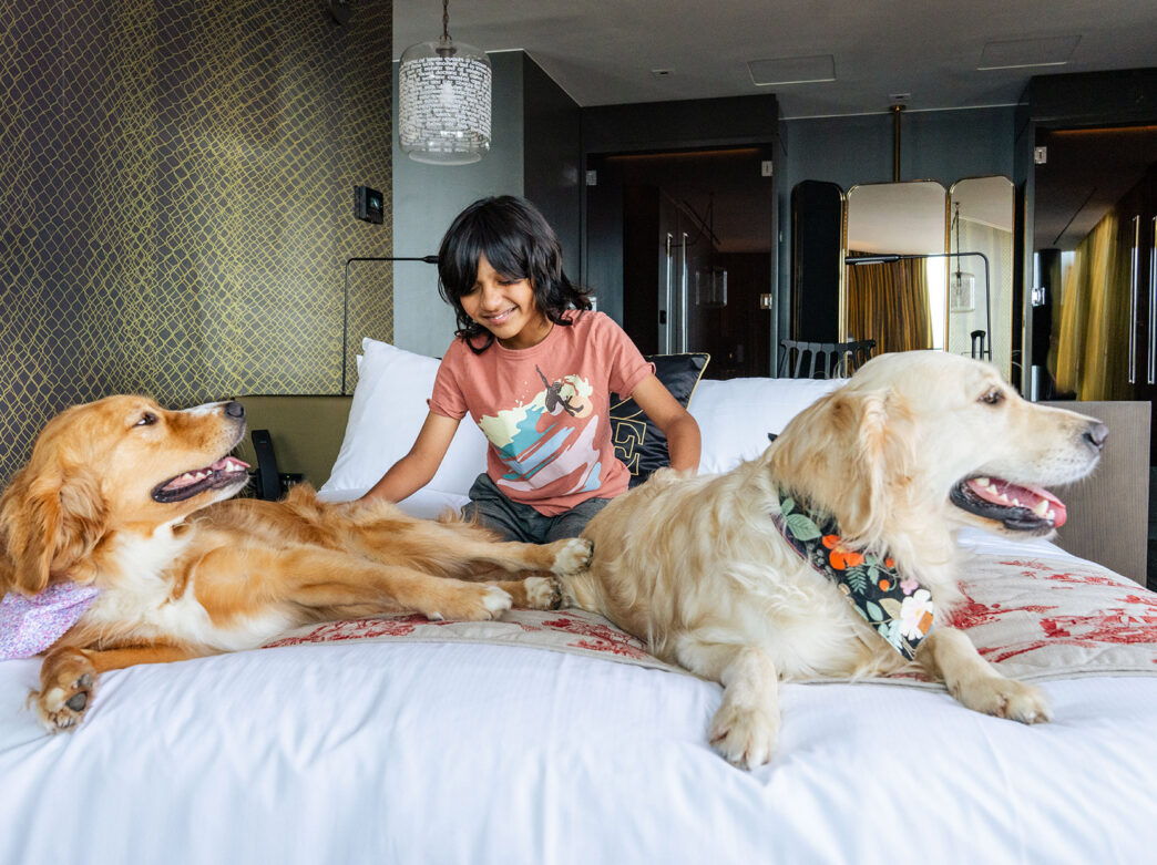 A young guest sits on the hotel room bed and pets two tan pups.