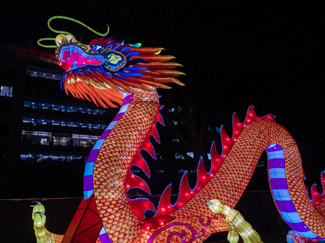The red firebreathing dragon at the Philadelphia Chinese Lantern Festival