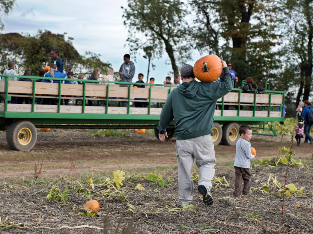 A father carries a large pumpkin on his shoulder and a child carries a small pumpkin in their hands while walking through a pumpkin patch at Shady Brook Farm. In the background, people sit on a wagon for a wagon ride.