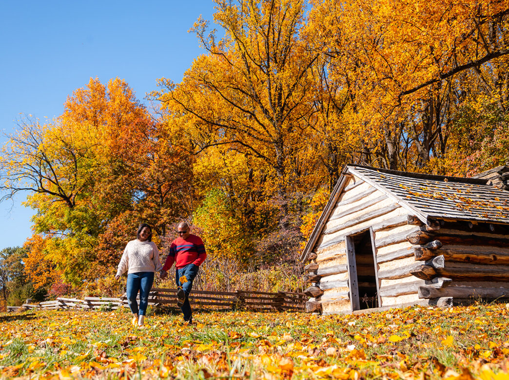 Two people walk holding hands through fallen yellow and red leaves at Valley Forge National Historical Park. A replica war cabin and trees with bright yellow and orange leaves are in the background.
