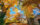 Trees with bright orange, yellow and red leaves line a gravel path through Laurel Hill Cemetery.