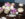 Purple and white turnips with faces carved into them are displayed on a table with a knife.