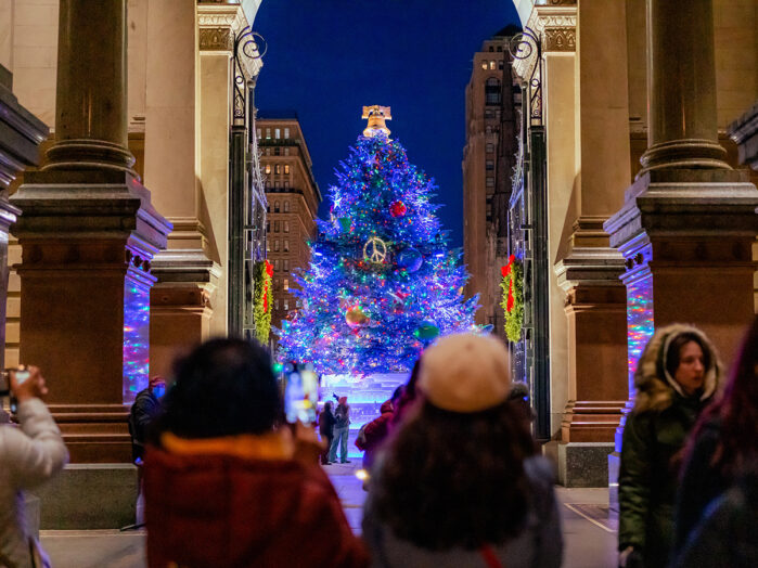 Philly's Holiday Tree Arrives This December What to Expect Visit