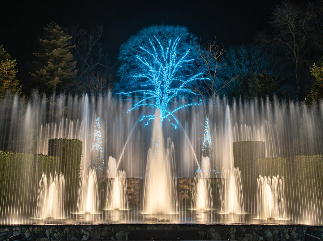 A nighttime fountain show at Longwood Gardens, featuring illuminated water jets creating a dazzling display in front of a tree wrapped in vibrant blue lights.