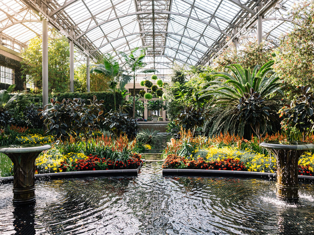 A vibrant indoor garden at Longwood Gardens during Winter Wonder features lush tropical plants, colorful flowers, and elegant fountains under a sunlit glass conservatory.