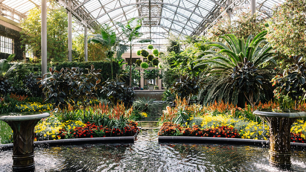 The Best Things to Do in Philadelphia in January 2025 | Visit Philadelphia