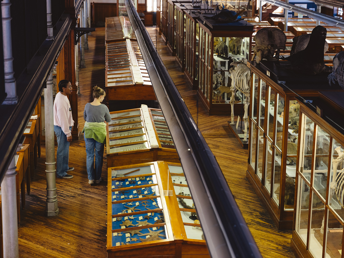 Two people walk through the Wagner Free Institute of Science and look at fossils on display in glass cases.