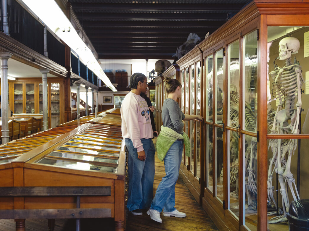Visitors to the Wagner Free Institute of Science look at skeletons on display in glass cases. One person points to the glass case.
