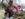 A person and two children look through twigs and greenery displayed on a table at the wreath-making station during Handmade Holidays at Bartram's Garden.