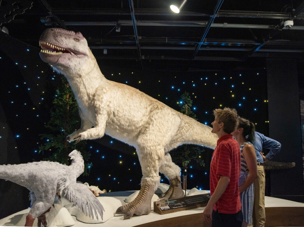 Two visitors look up at dinosaur model on display at The Academy of the Natural Sciences of Drexel University. The dinosaur has tan fur.