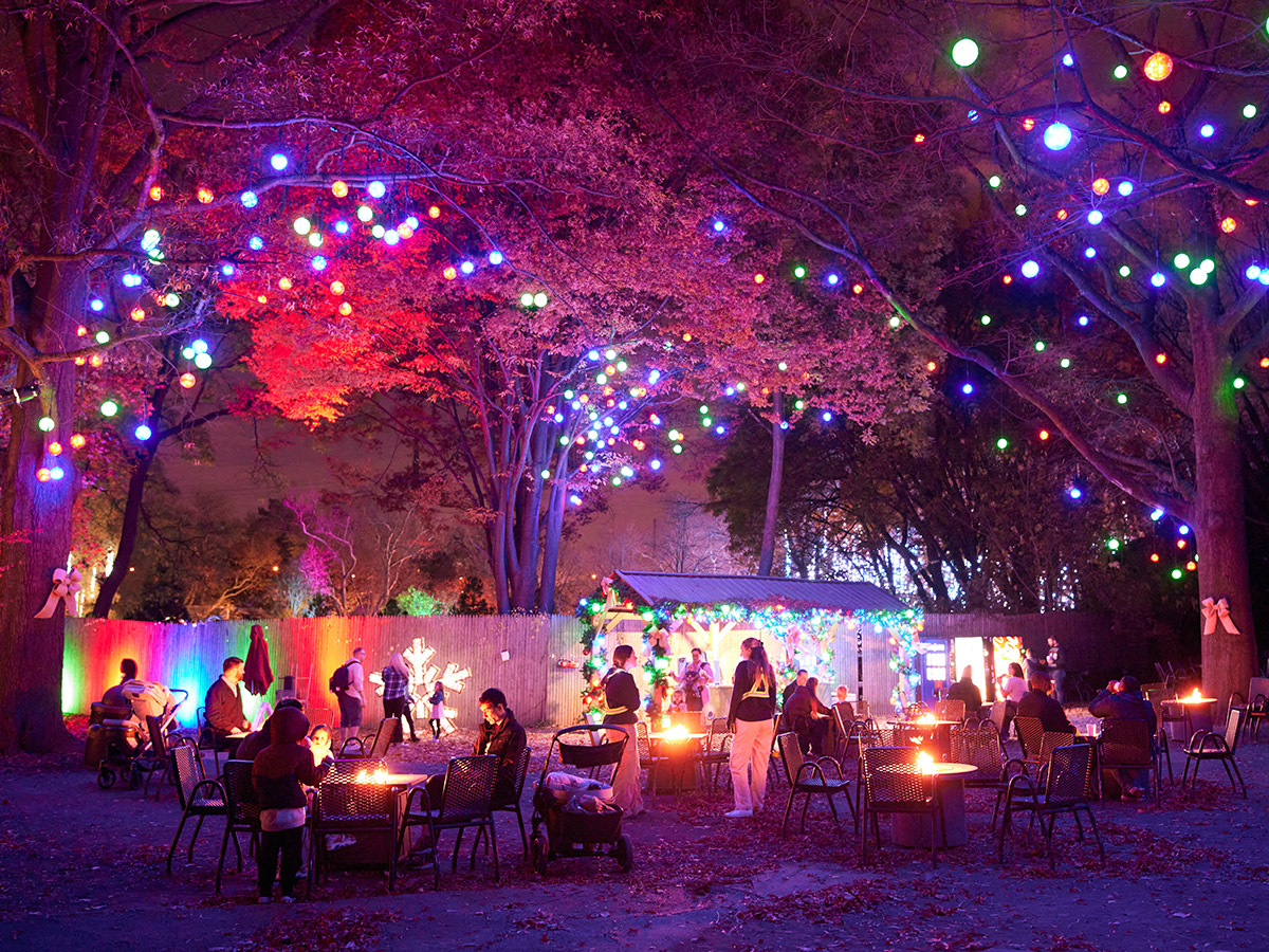 Visitors gather around fire pits under trees adorned with colorful glowing lights at the LumiNature display at the Philadelphia Zoo.