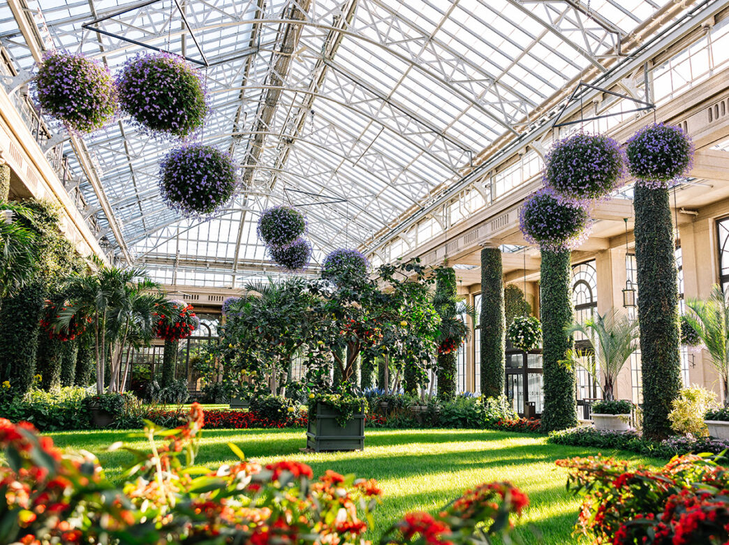 L'exposition intérieure de Longwood Gardens présente des sphères suspendues vibrantes de fleurs violettes, de verdure luxuriante et de pelouses soigneusement entretenues sous un grand plafond de verre.