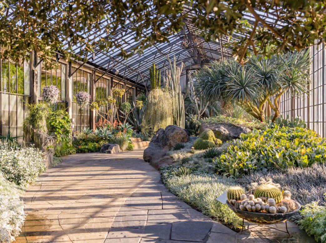 A meandering pathway of slate snakes through rocky outcroppings of spiky, textural plants in otherworldly hues of platinum, cool green and soft blue.