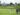Un golfeur frappe une balle de golf sur le fairway. Deux caddies se tiennent à côté du sac du golfeur. Au loin, on aperçoit une foule de spectateurs.