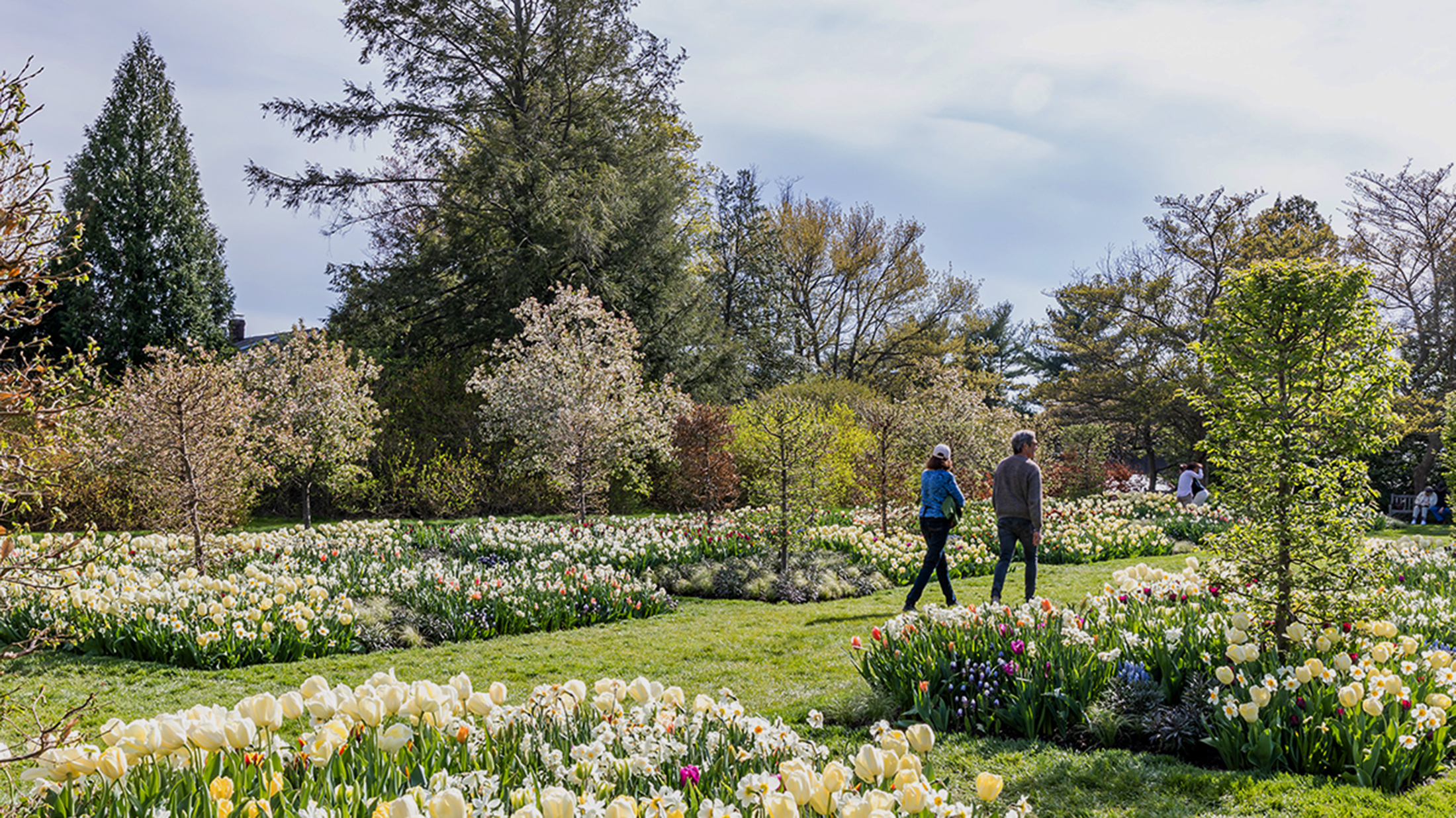 Spring Events in Philadelphia | Visit Philadelphia