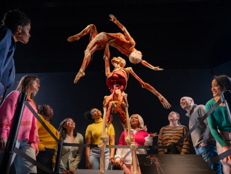 Two preserved bodies stand on display, muscular and skeletal systems exposed, posing in a dance. A group of people gaze in awe