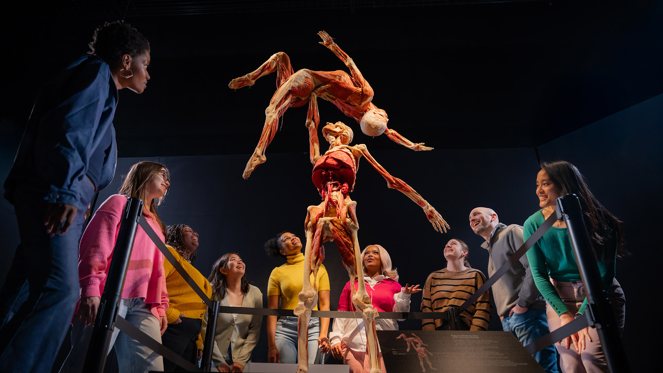 Two preserved bodies stand on display, muscular and skeletal systems exposed, posing in a dance. A group of people gaze in awe