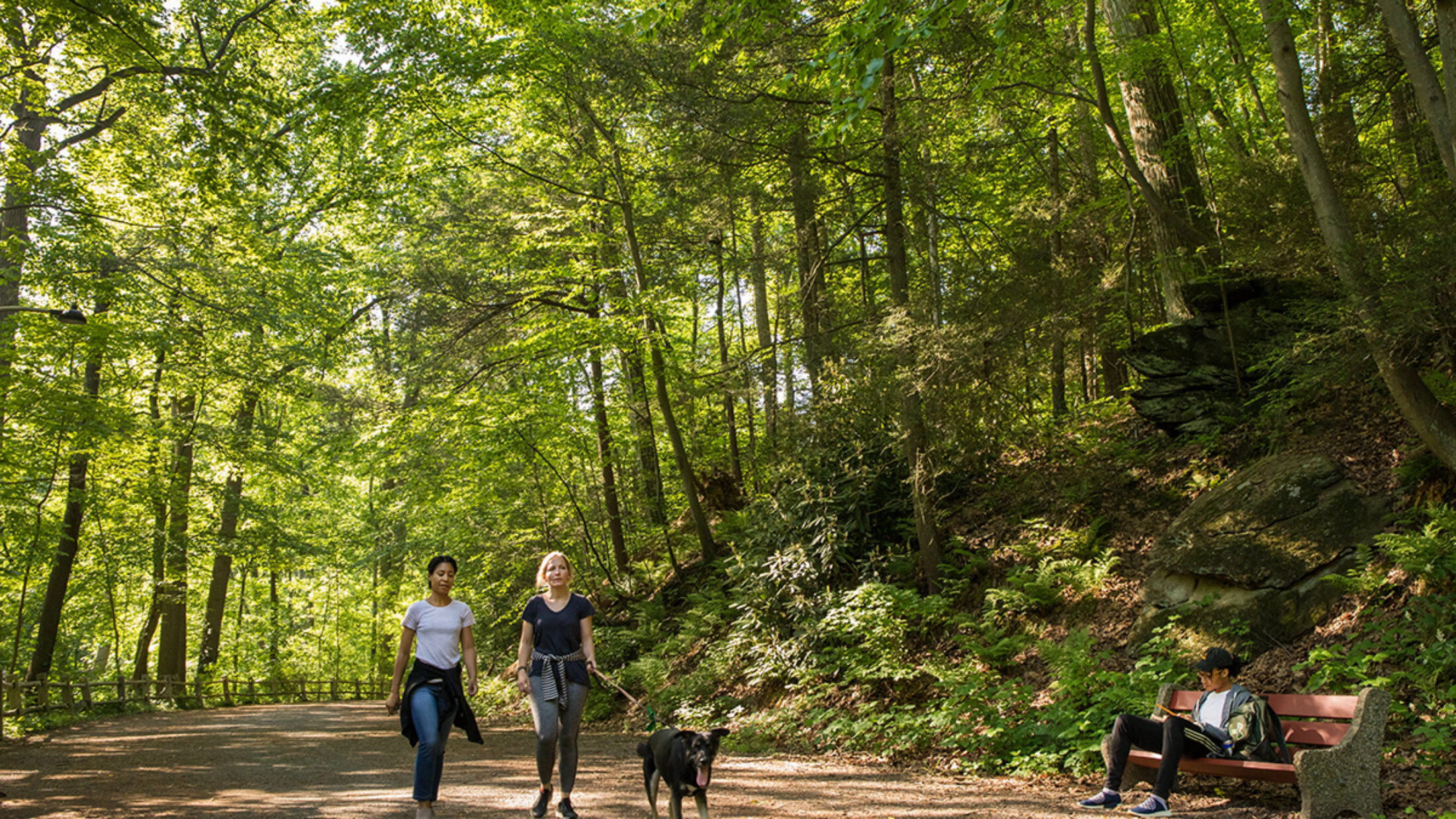Deux femmes marchent sur un sentier de terre tout en promenant un gros chien brun. De grands arbres verts bordent le sentier et fournissent de l'ombre.