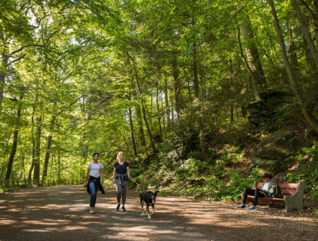Dos mujeres caminan por un sendero de tierra mientras pasean a un perro grande de color marrón. Altos árboles verdes bordean el sendero y proporcionan sombra.