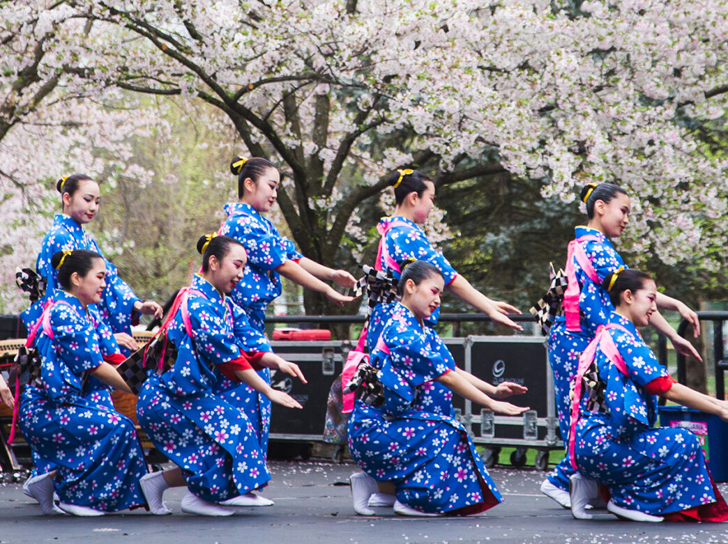 Dancers wearing blue and pink Kimonos perform on a stage in front of blooming cherry blossoms at the Cherry Blossom Festival in Philadelphia.