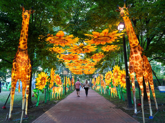 Guide to the 2025 Chinese Lantern Festival in Franklin Square | Visit ...